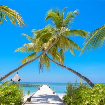 挑战极限货车无敌版